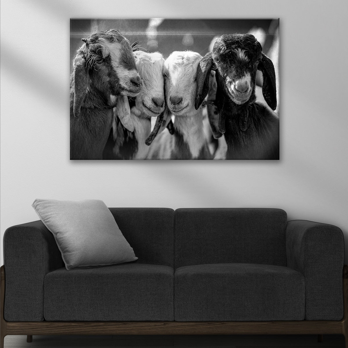 Black And White Baby Goats Canvas Wall Art