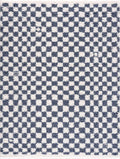 Kieu Blue & White Checkered Area Rug