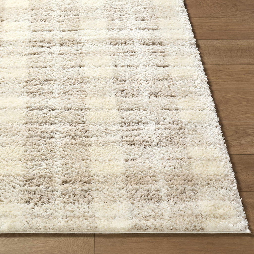 Anfisa Cream Luxe Shag Area Rug