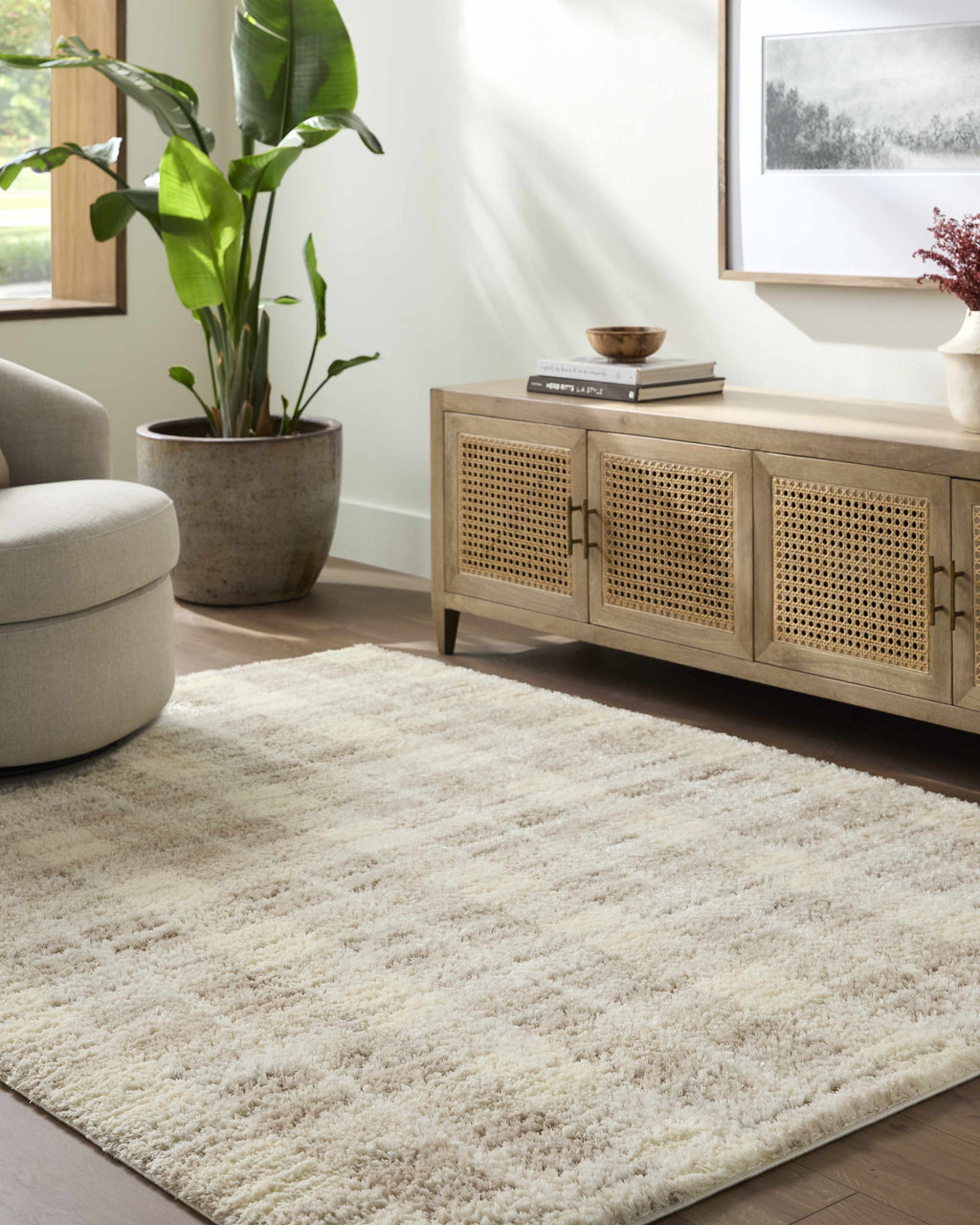 Anfisa Cream Luxe Shag Area Rug