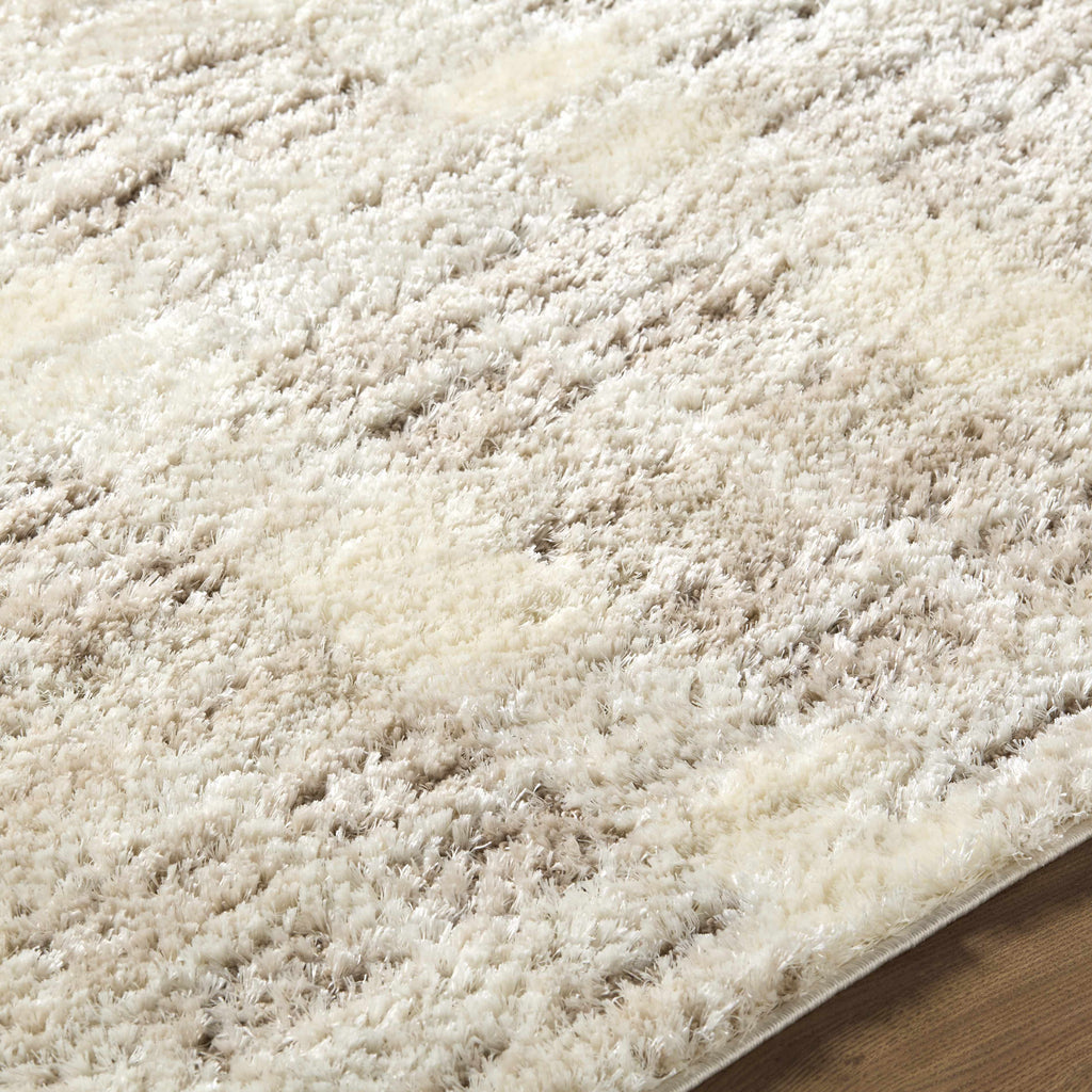 Anfisa Cream Luxe Shag Area Rug