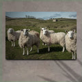 Flock Of Sheep Canvas Wall Art