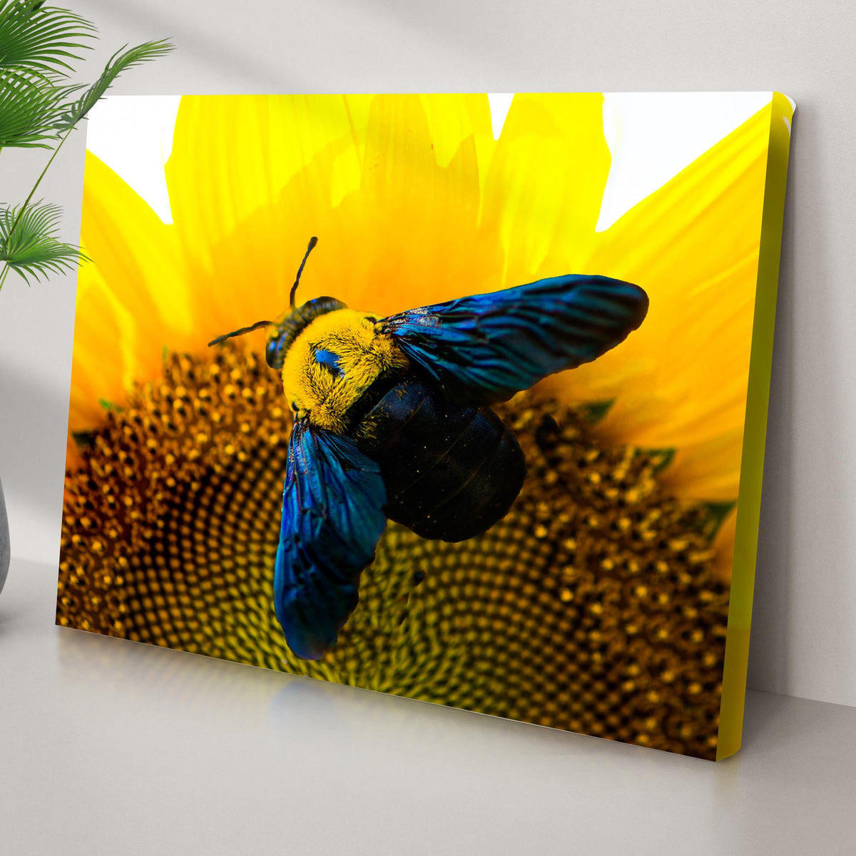 Bee Hoverfly Above A Sunflower Canvas Wall Art