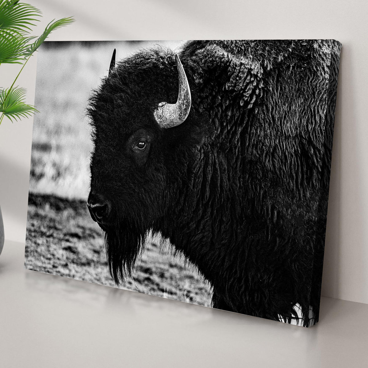 Black and White Bison Canvas Wall Art