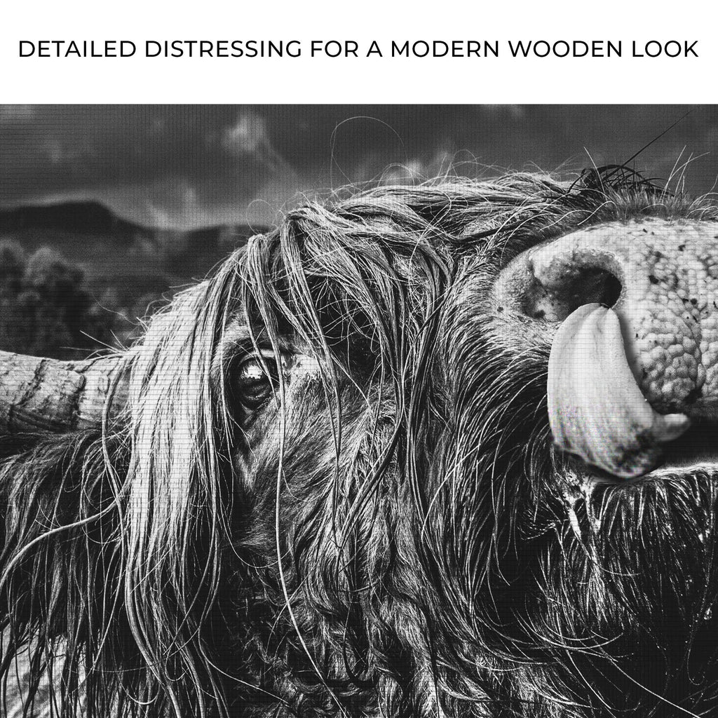 West Highland Cow Monochrome Canvas Wall Art