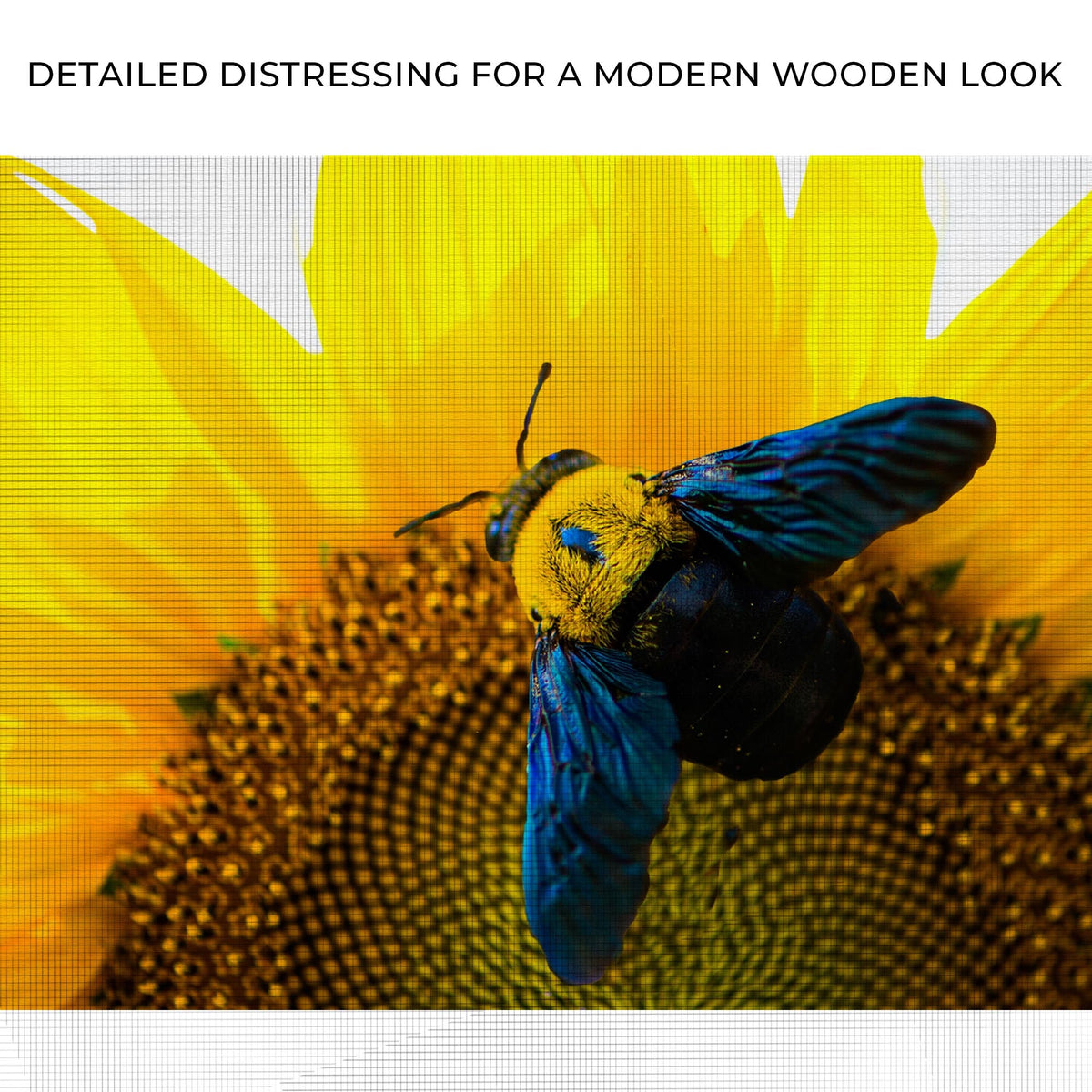 Bee Hoverfly Above A Sunflower Canvas Wall Art