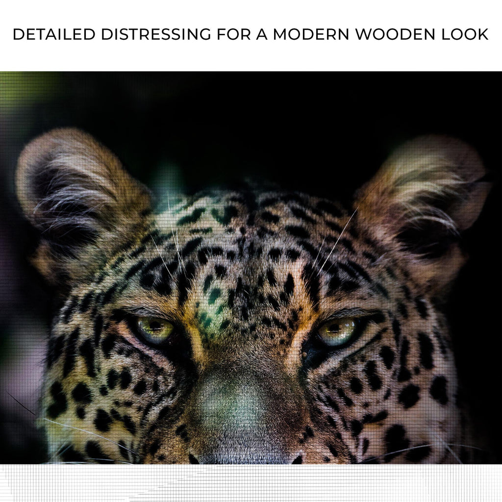 Sneaky Jungle Leopard Portrait Canvas Wall Art