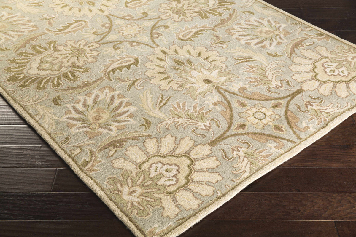 Chesterton Hand Tufted Ivory 1111 Area Rug
