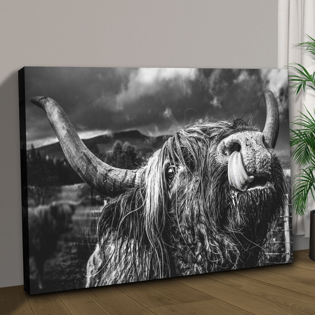 West Highland Cow Monochrome Canvas Wall Art