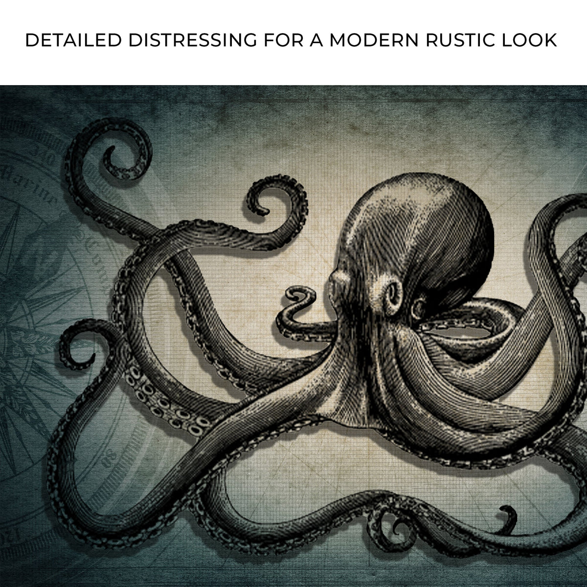 Octopus Coastal Canvas Wall Art